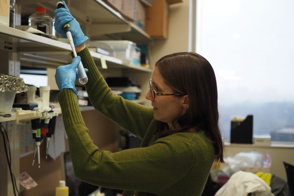 Lab Manager Chrissy Greer resuspends DNA at her bench. 